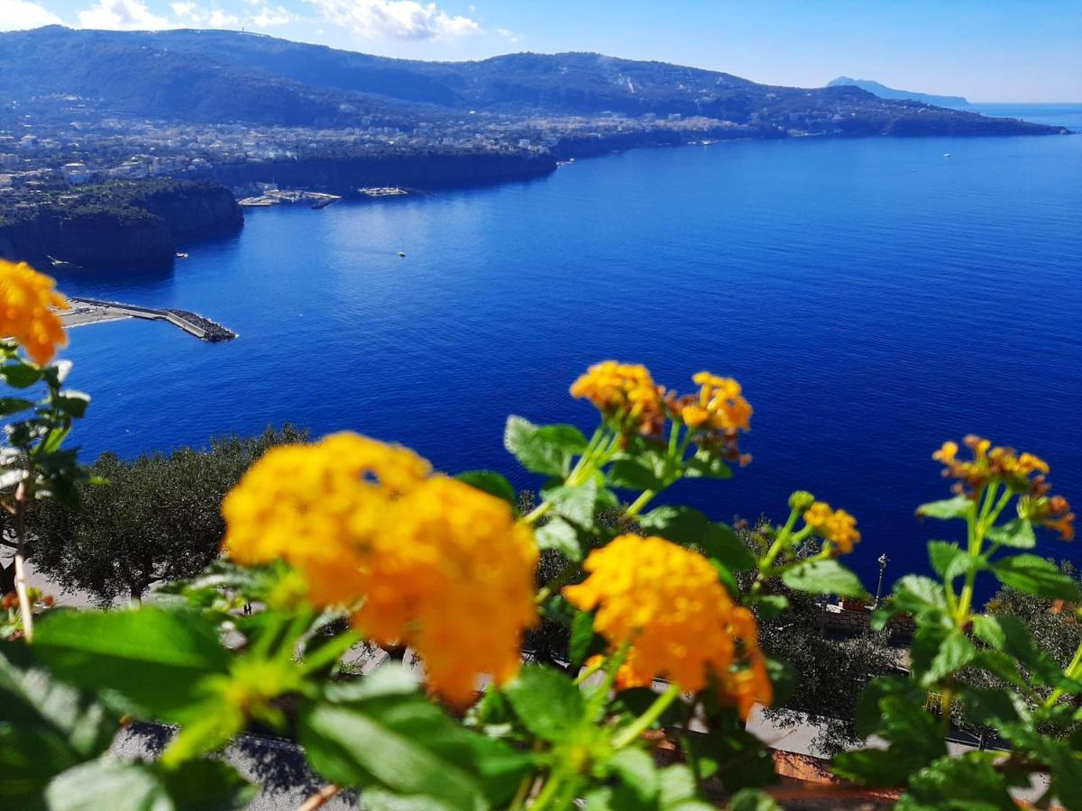Apartmán Bella Vista House-Sorrento Coast - Free Parking-Solarium Vico Equense Exteriér fotografie